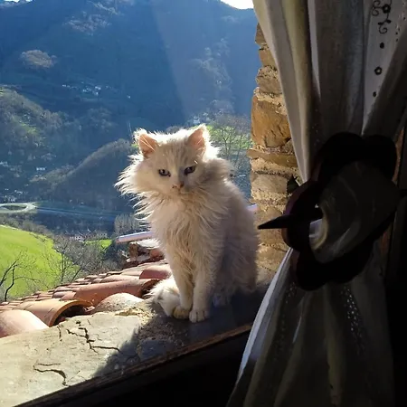 Cobijo De Villar * El Escobio